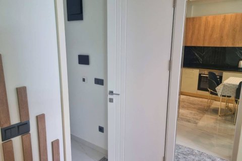 1+0 Lägenhet i Alanya, Antalya, Turkiet Nr. 225089 - 11