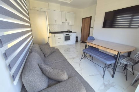 Daire 1+0 Kargıcak, Alanya, Antalya, Türkiye №225093 - 11