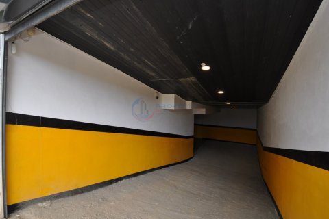 1+1 Lägenhet i Alanya, Antalya, Turkiet Nr. 211477 - 16