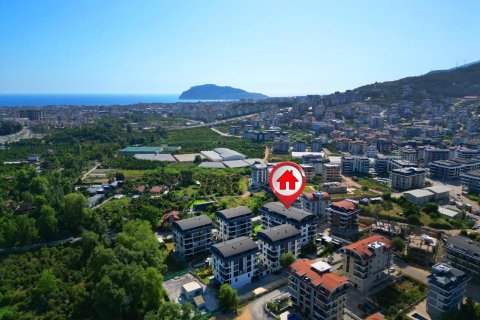 1+1 Apartment  in Alanya, Antalya, Turkey No. 216892
