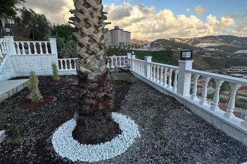 Villa  3+1  Alanya, Antalya, Türkiye №216894 - 12