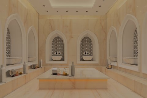 2+1 Leilighet i Alanya, Antalya, Tyrkia Nr. 158144 - 11