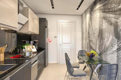 2+1 Leilighet  i Istanbul, Tyrkia Nr. 100656 - 23