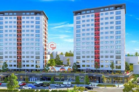 2+1 Leilighet  i Istanbul, Tyrkia Nr. 100656 - 3