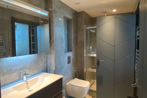 1+1 Lägenhet i Istanbul, istanbul, Turkiet Nr. 222881 - 18