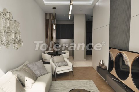 1+0 Lägenhet  i Istanbul, istanbul, Turkiet Nr. 212113 - 8