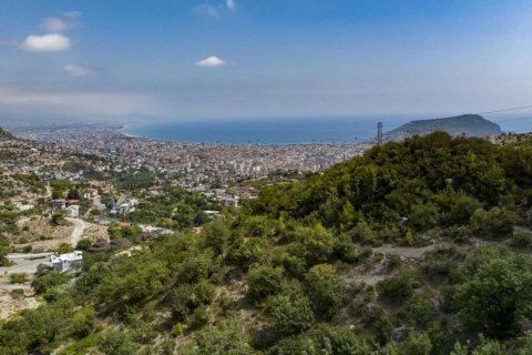 Villa for sale in Alanya, Antalya, Turkey, 3 bedrooms, 455m2, No. 55158 – photo 6