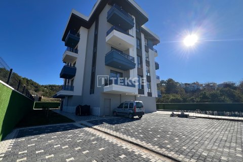 Продажа квартиры в Аланье, Анталье, Турция 1+1, 55м2, №215623 – фото 6