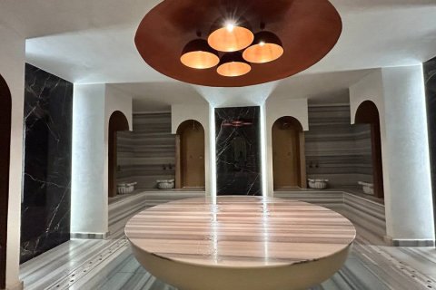 Daire  2+1  Mahmutlar, Antalya, Türkiye №225806 - 28