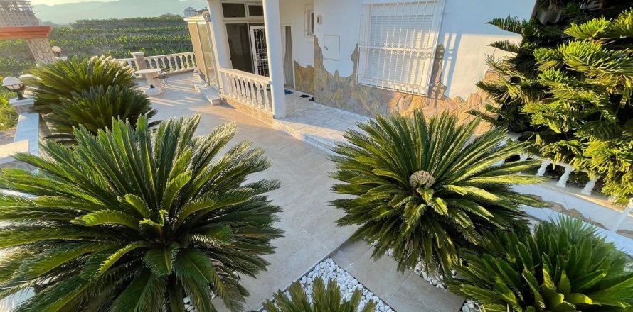 Lägenhet i Alanya, Antalya, Turkiet Nr. 213480
