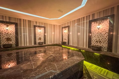 3+1 Lägenhet i Alanya, Antalya, Turkiet Nr. 223105 - 23