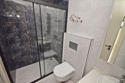3+1 Lägenhet i Alanya, Antalya, Turkiet Nr. 223105 - 15