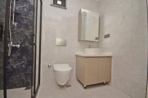3+1 Lägenhet i Alanya, Antalya, Turkiet Nr. 223105 - 12