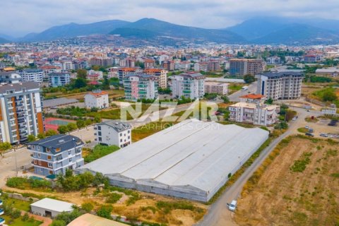 Продажа квартиры в Газипаше, Анталье, Турция, 5163м2, №223103 – фото 6