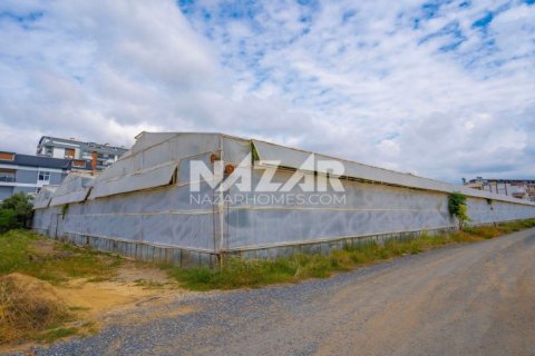 Продажа квартиры в Газипаше, Анталье, Турция, 5163м2, №223103 – фото 22