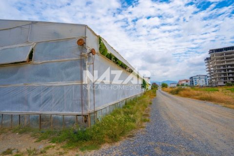 Продажа квартиры в Газипаше, Анталье, Турция, 5163м2, №223103 – фото 14