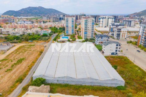 Продажа квартиры в Газипаше, Анталье, Турция, 5163м2, №223103 – фото 3