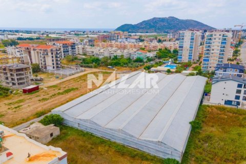 Продажа квартиры в Газипаше, Анталье, Турция, 5163м2, №223103 – фото 12