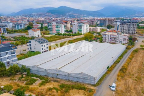 Продажа квартиры в Газипаше, Анталье, Турция, 5163м2, №223103 – фото 9