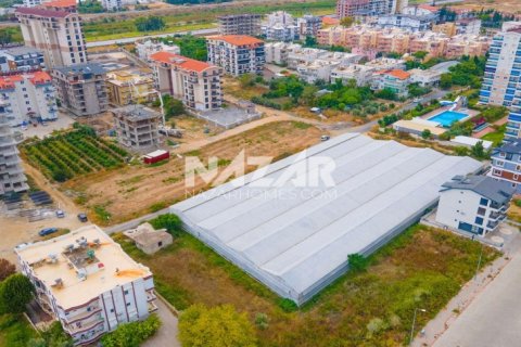 Продажа квартиры в Газипаше, Анталье, Турция, 5163м2, №223103 – фото 8