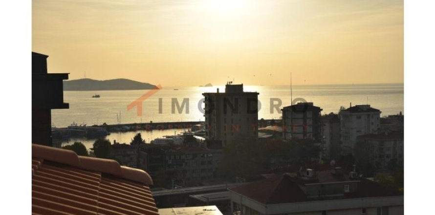 4+2 Apartment  in Kadikoy, Istanbul, Turkey No. 214934