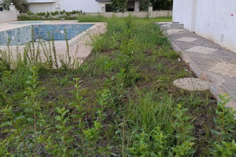 Продажа квартиры  в Аланье, Анталье, Турция 1+1, 60м2, №216830 – фото 9