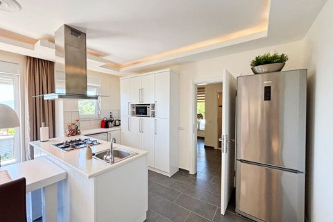 2+1 Villa i Kestel, Antalya, Turkiet Nr. 238000 - 9