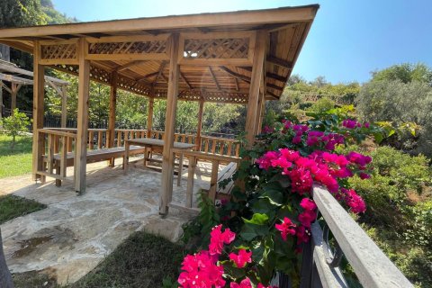 5+1 Villa  i Oba, Antalya, Tyrkiet Nr. 238001 - 21