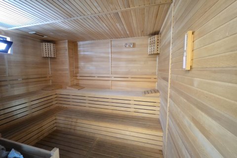 1+1 Wohnung  in Alanya, Antalya, Türkei Nr. 216793 - 11