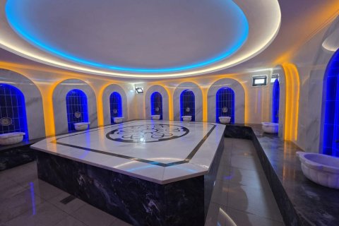 1+1 Wohnung  in Alanya, Antalya, Türkei Nr. 216793 - 9