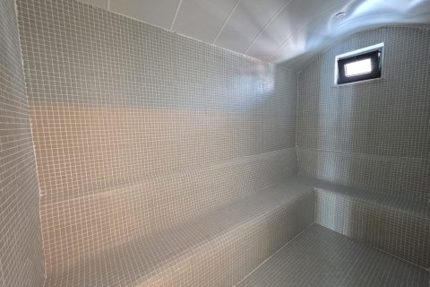 1+1 Wohnung  in Alanya, Antalya, Türkei Nr. 216793 - 10