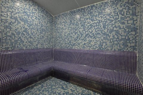 Daire  1+1  Alanya, Antalya, Türkiye №216791 - 7