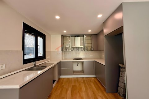 آپارتمان در Kadikoy،  Istanbul ، ترکیه 3 خوابه ، 155 متر مربع.  شماره 228613 - 8