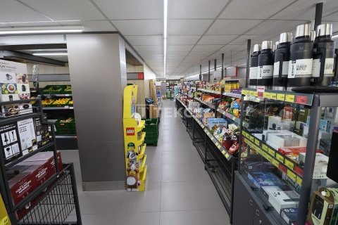 Erhvervsejendom i Antalya, Tyrkiet Nr. 227520 - 12
