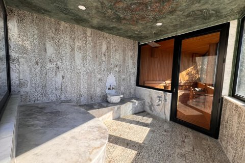 Villa i Alanya, Antalya, Turkiet Nr. 227208 - 7