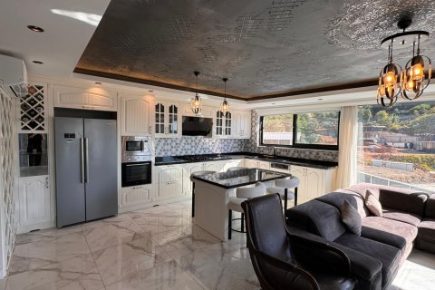 Villa i Alanya, Antalya, Turkiet Nr. 227208 - 9