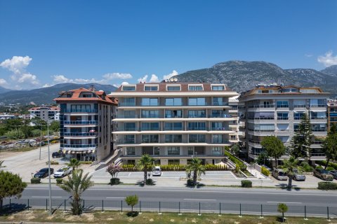 1+1 Wohnung in Kestel, Antalya, Türkei Nr. 227206 - 2