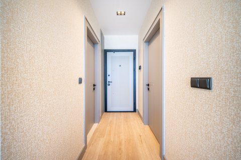 1+1 Wohnung in Kestel, Antalya, Türkei Nr. 227206 - 9