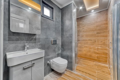 Villa  in Cikcilli, Antalya, Türkei Nr. 227209 - 23