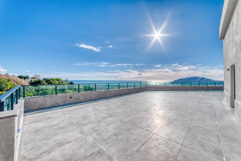 Villa  in Cikcilli, Antalya, Türkei Nr. 227209 - 30
