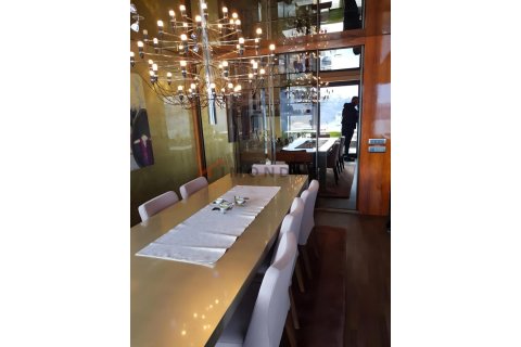 ویلا در Sariyer،  Istanbul ، ترکیه 3 خوابه ، 220 متر مربع.  شماره 225238 - 8