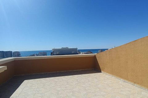 4+1 Lejlighed i Mahmutlar, Antalya, Tyrkiet Nr. 223409 - 17