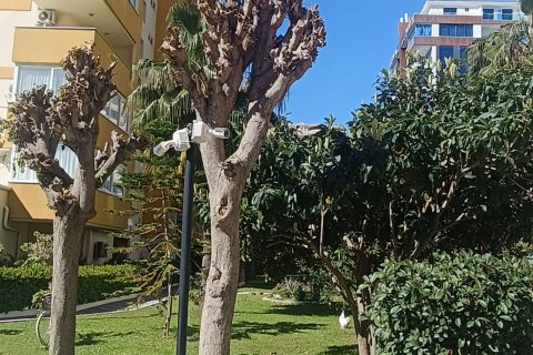 4+1 Lejlighed i Mahmutlar, Antalya, Tyrkiet Nr. 223409 - 28