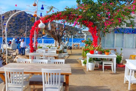 4+1 Villa  i Bodrum, Mugla, Tyrkiet Nr. 223407 - 16