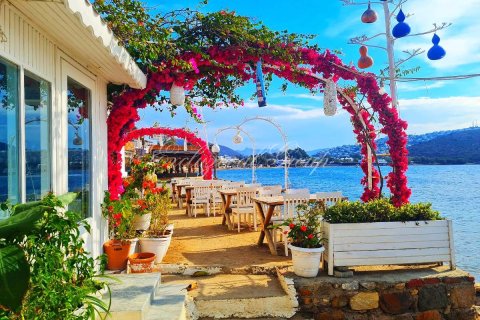 4+1 Villa  i Bodrum, Mugla, Tyrkiet Nr. 223407 - 18