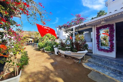 4+1 Villa  i Bodrum, Mugla, Tyrkiet Nr. 223407 - 19