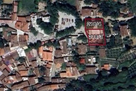 Tömma  i Selcuk, Izmir, Turkiet Nr. 223403 - 3
