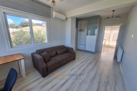 4+1 Villa i Ozankoy, Girne, Nr. 225697 - 28