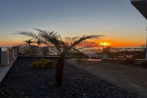 Продажа квартиры  в Аланье, Анталье, Турция 5 комн., 310м2, №228818 – фото 22