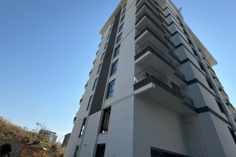1+1 Wohnung in Mahmutlar, Antalya, Türkei Nr. 216341 - 3
